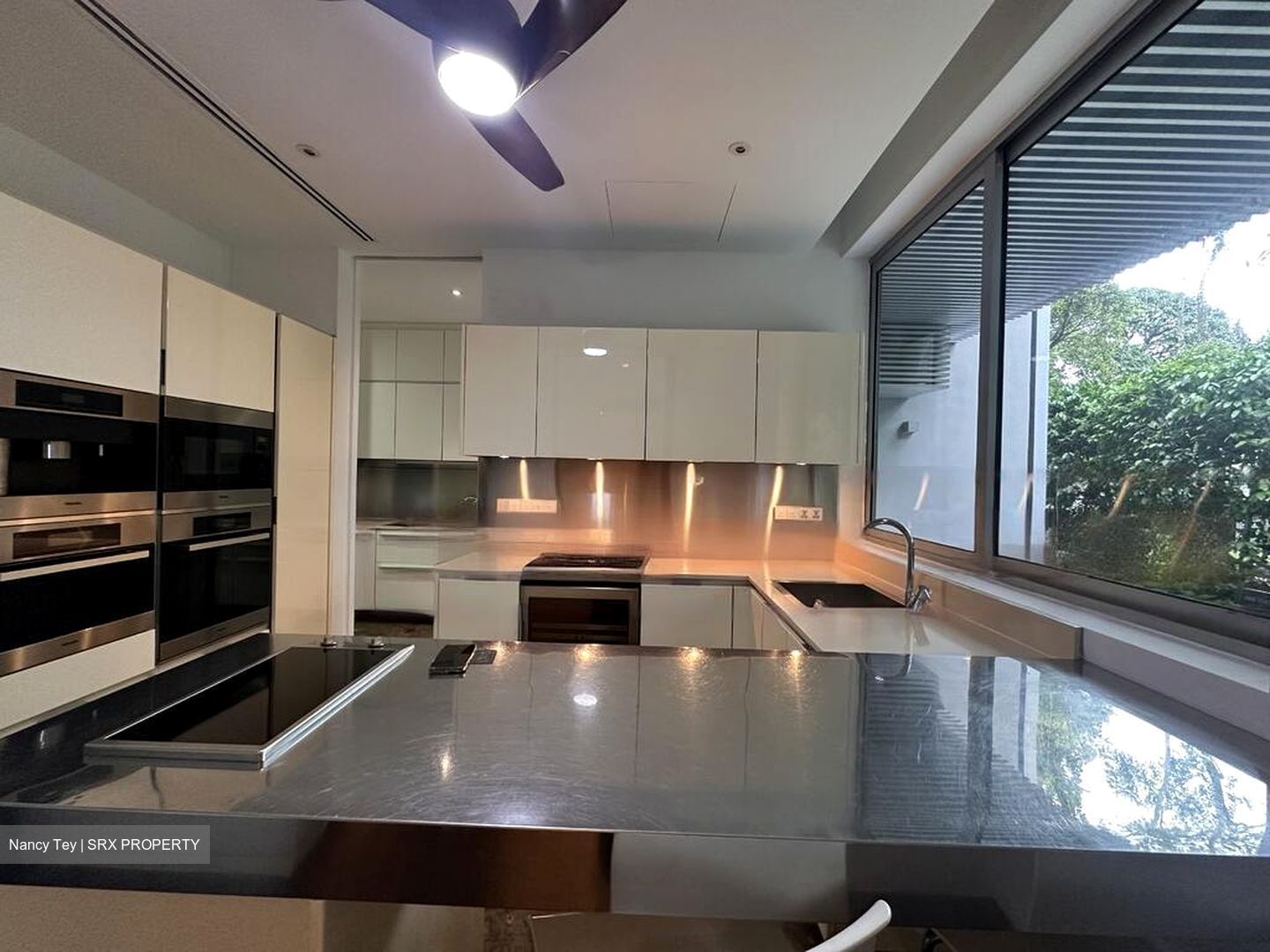 Nassim Park Residences (D10), Condominium #457973301